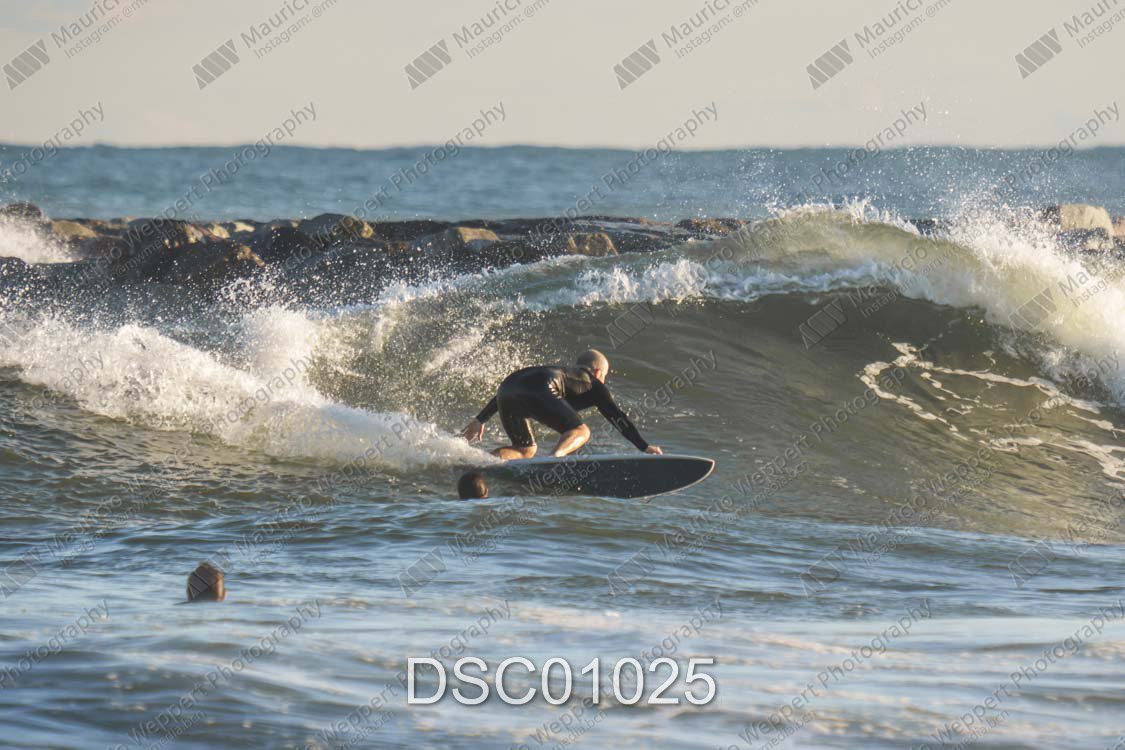 DSC01025.jpg