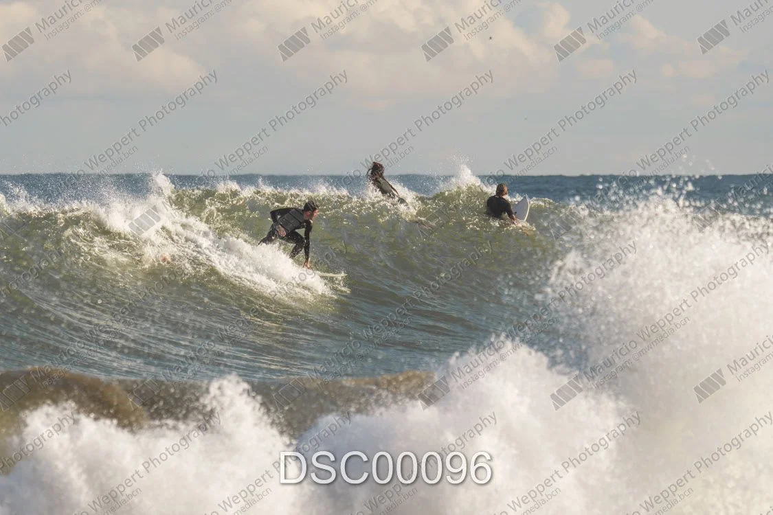 DSC00096.jpg