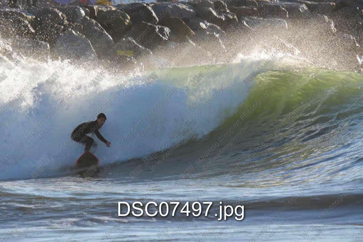 DSC07497.jpg