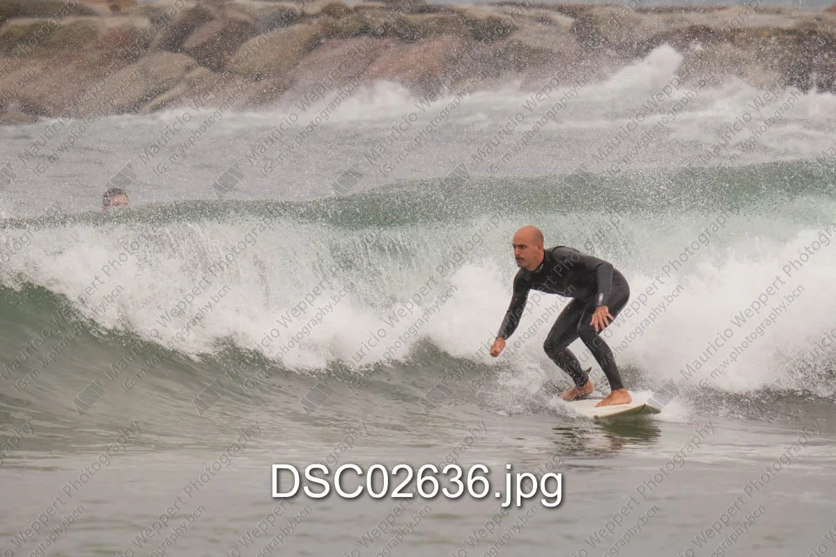DSC02636.jpg