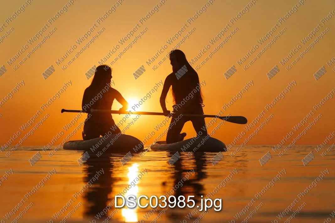 DSC03985.jpg