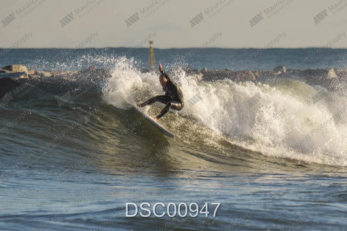 DSC00947.jpg
