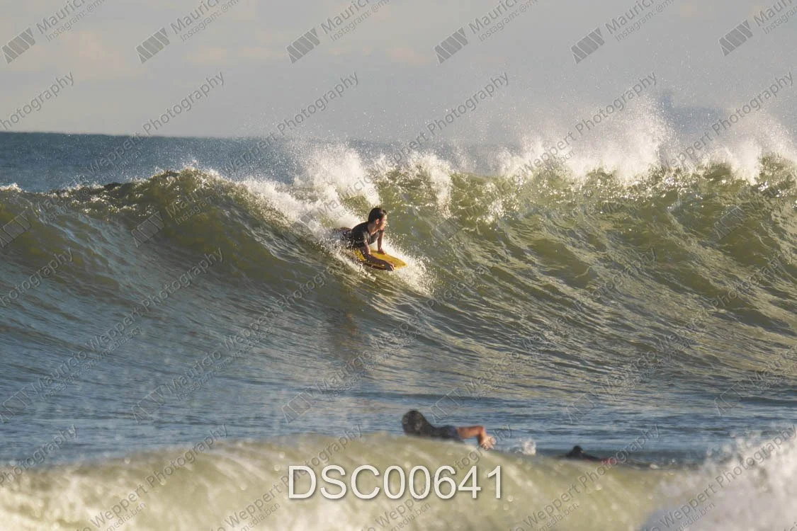 DSC00641.jpg