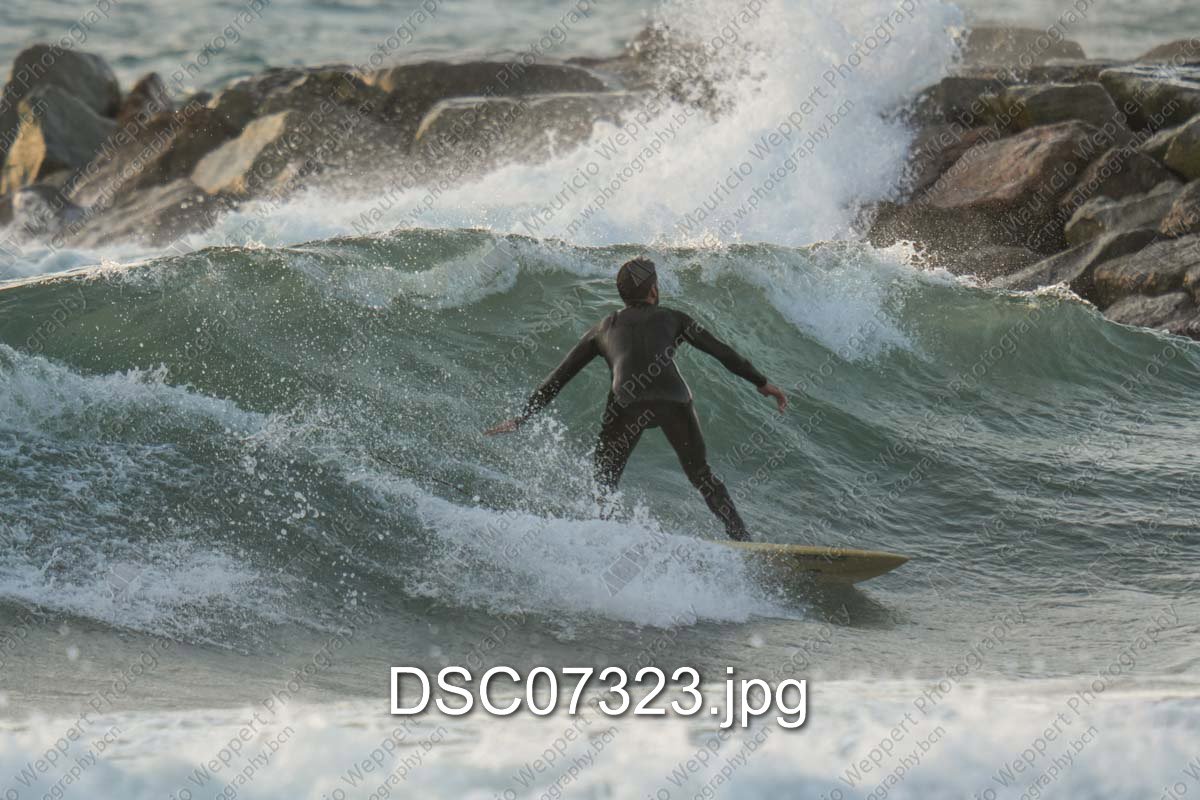 DSC07323.jpg