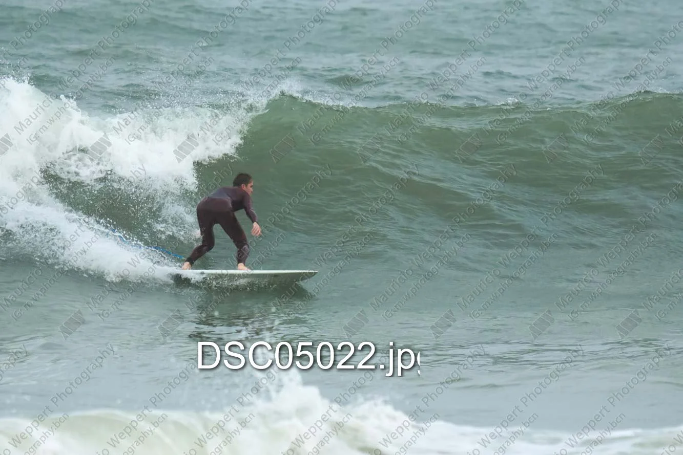 DSC05022.jpg