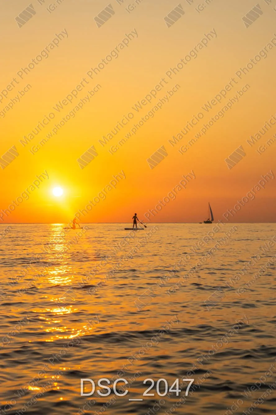 DSC_2047.jpg