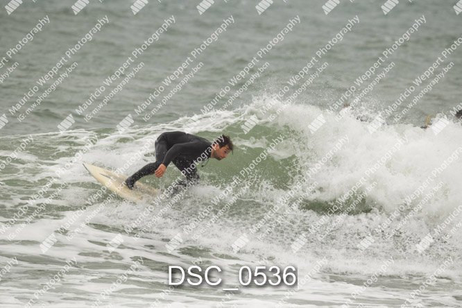 DSC_0536.jpg