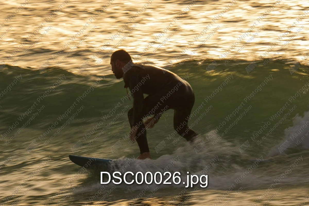 DSC00026.jpg