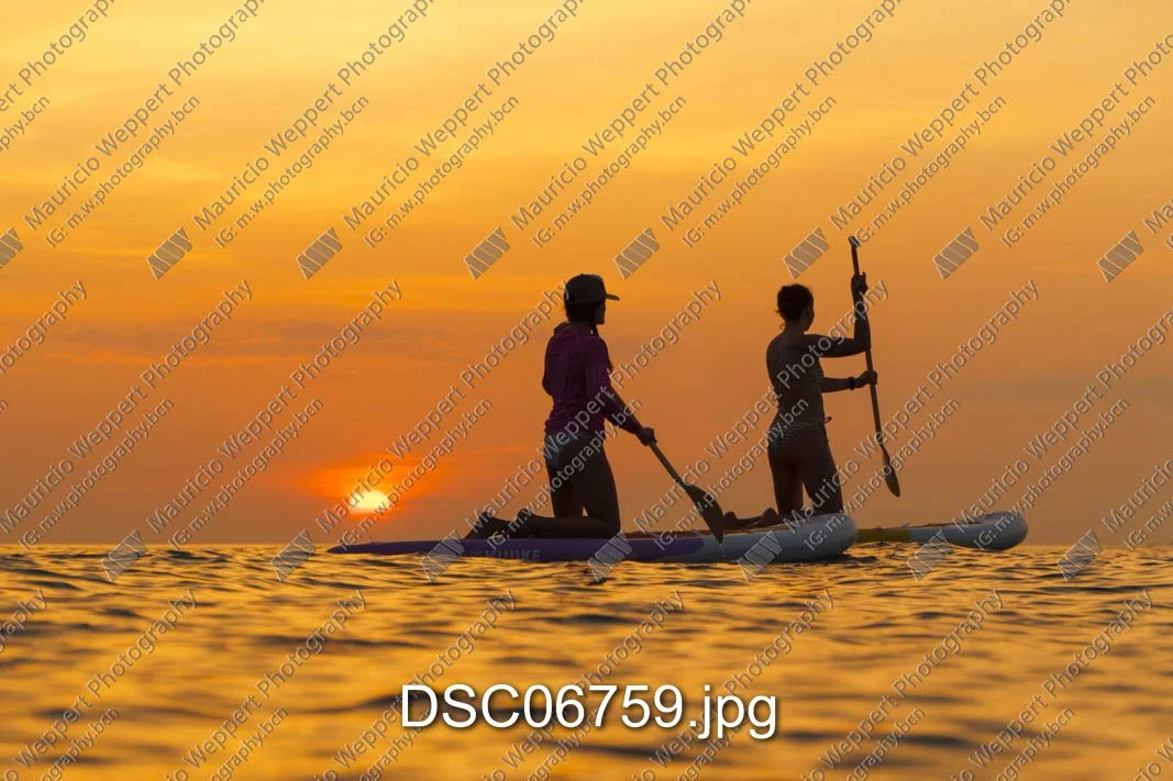 DSC06759.jpg