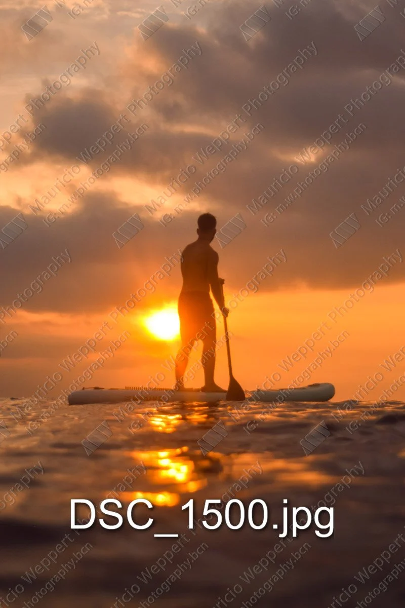DSC_1500.jpg