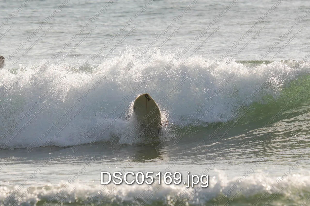 DSC05169.jpg