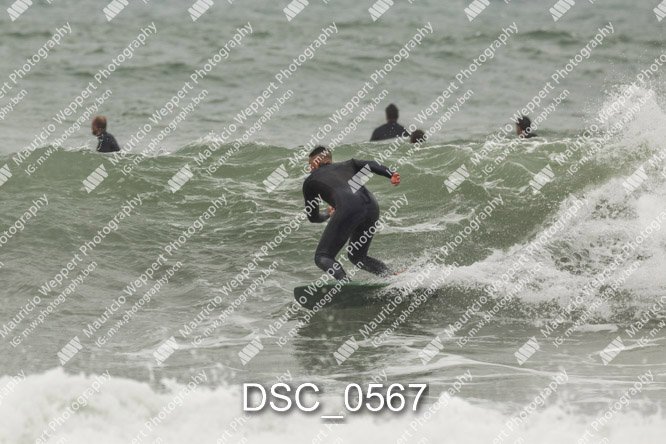 DSC_0567.jpg
