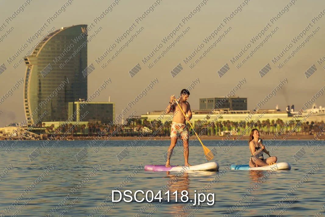 DSC04118.jpg
