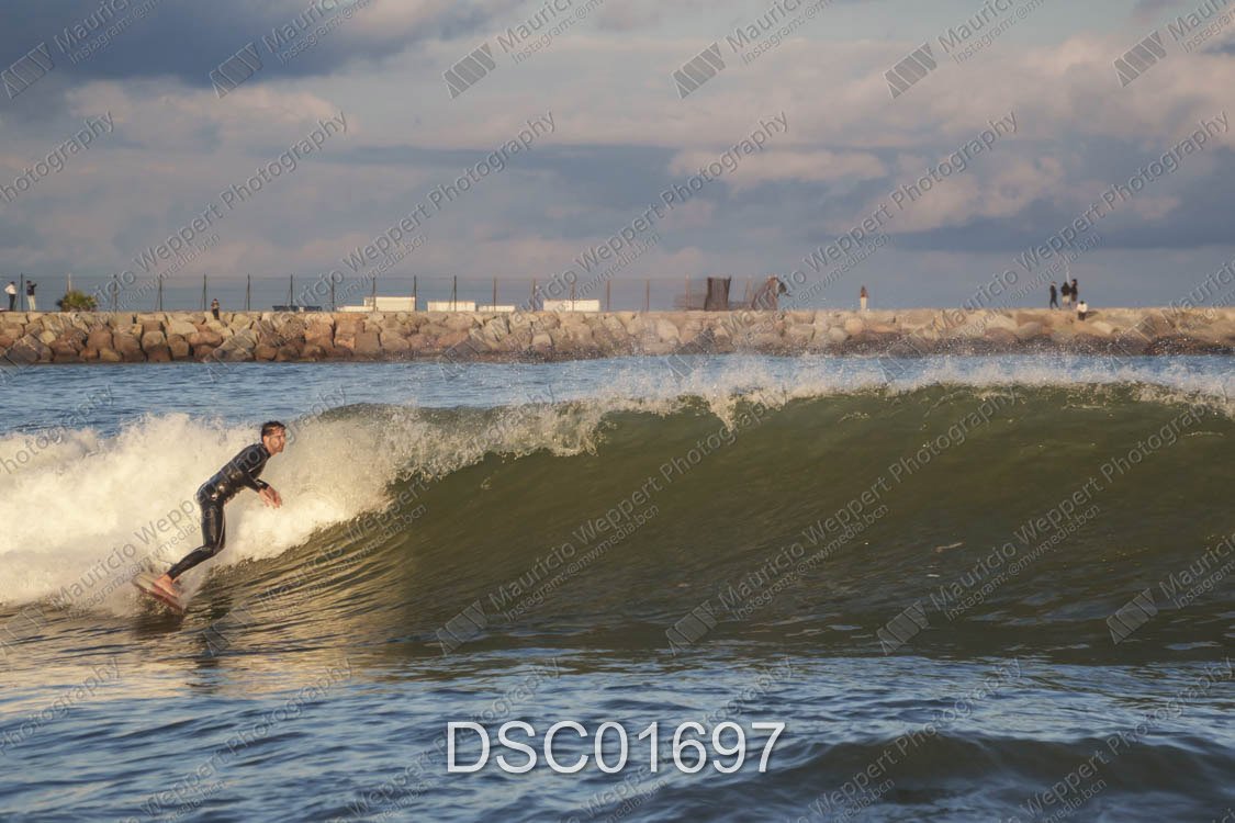 DSC01697.jpg