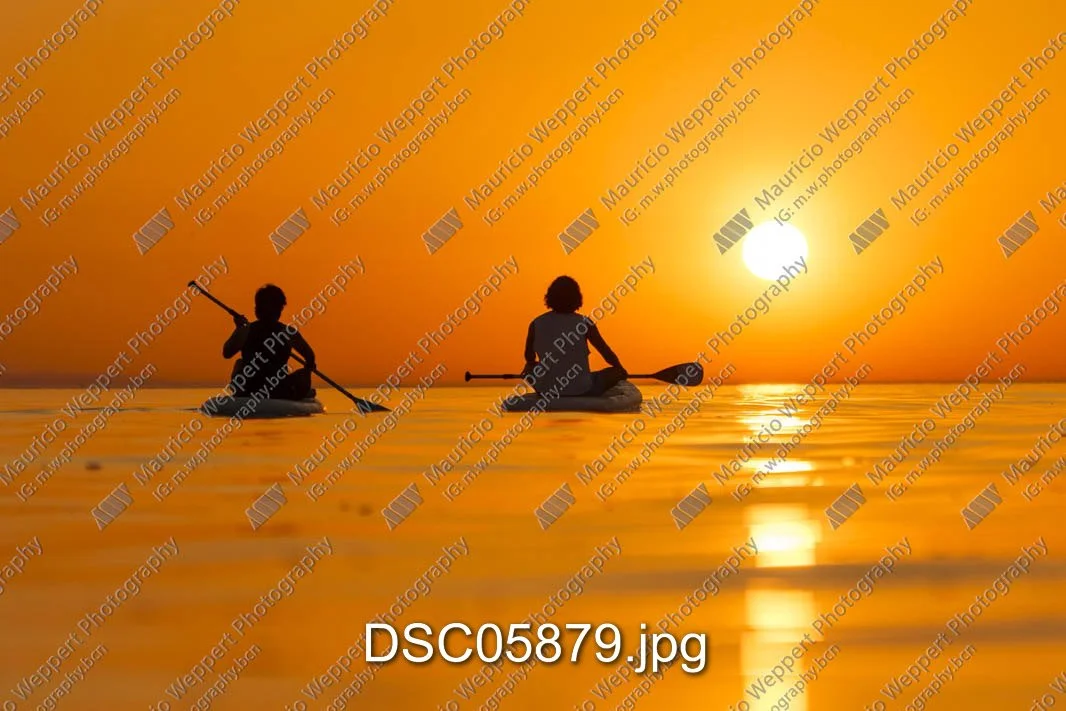 DSC05879.jpg