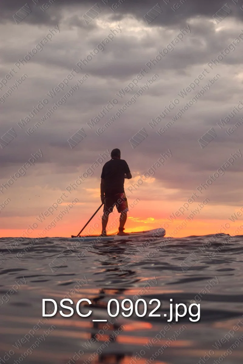 DSC_0902.jpg