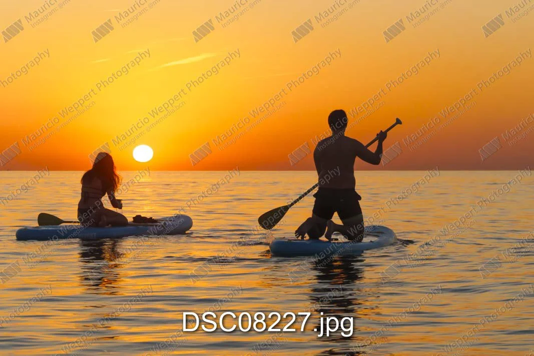 DSC08227.jpg