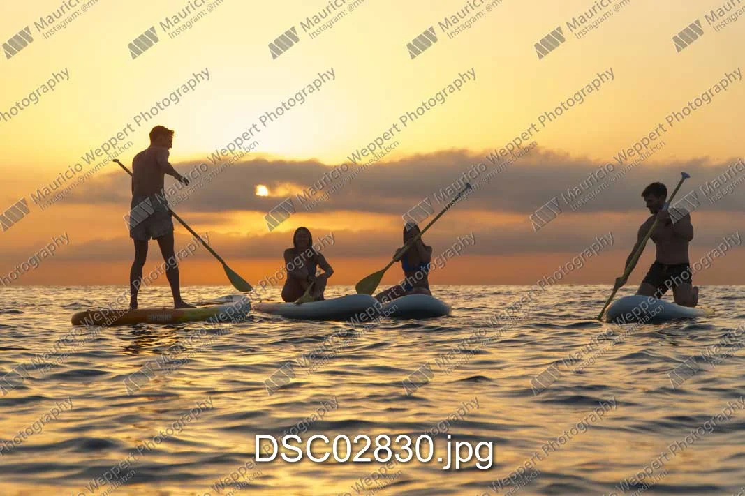 DSC02830.jpg