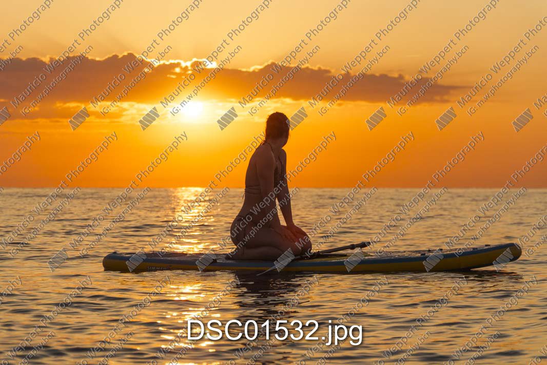 DSC01532.jpg