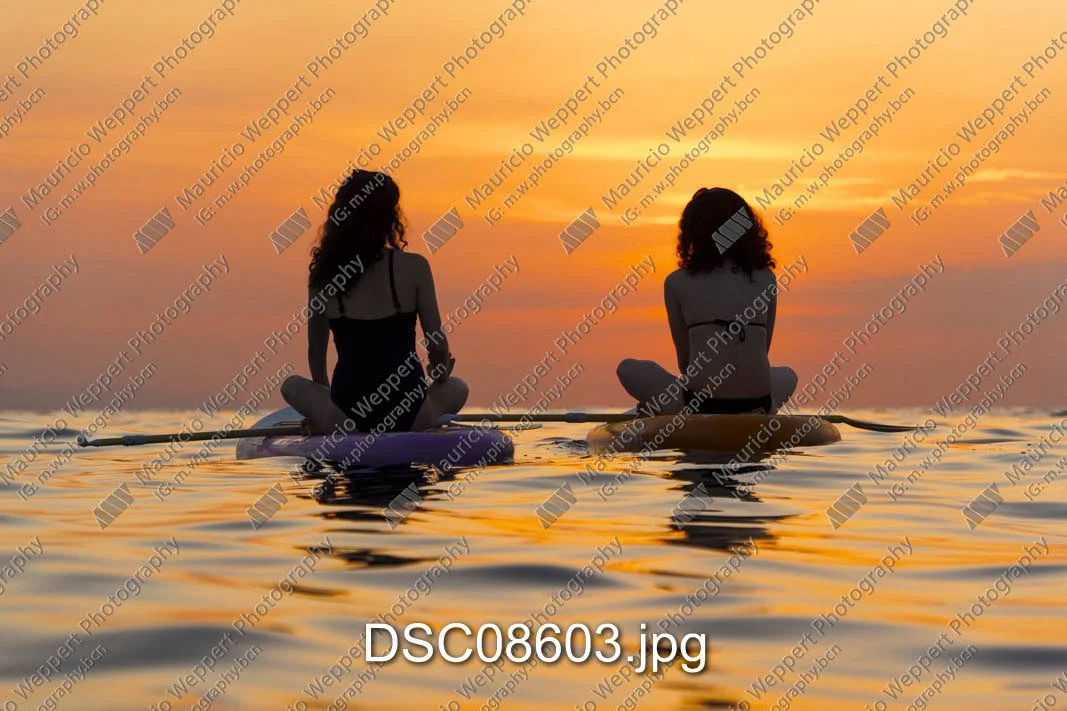 DSC08603.jpg