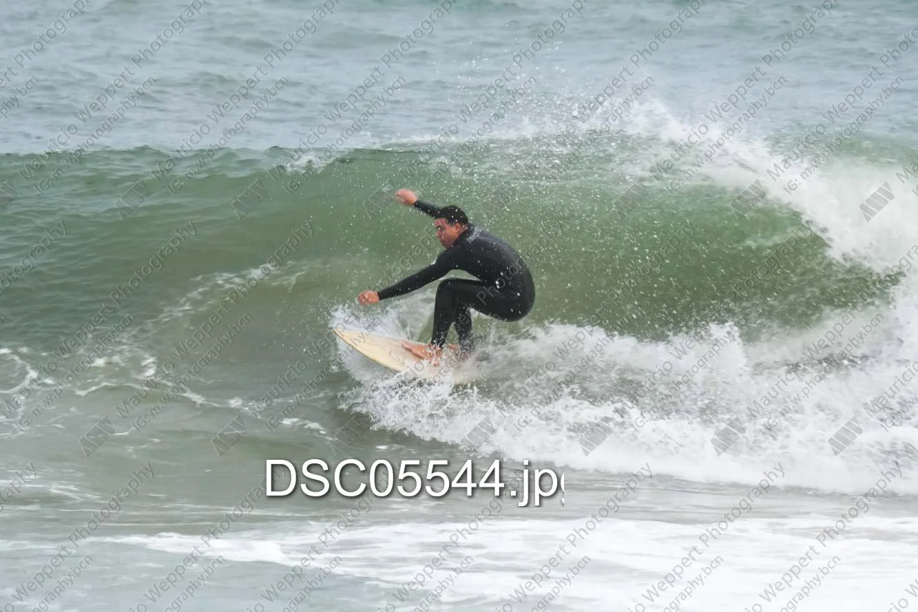 DSC05544.jpg