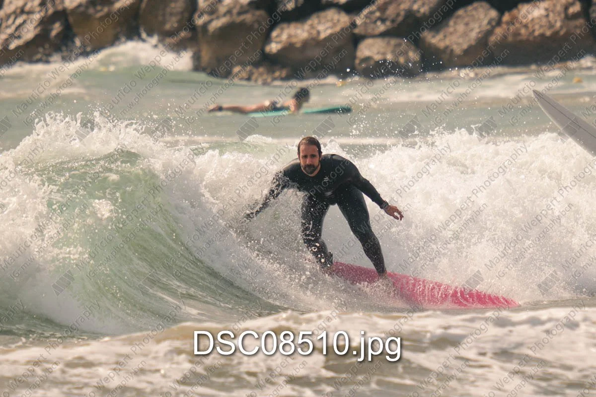 DSC08510.jpg