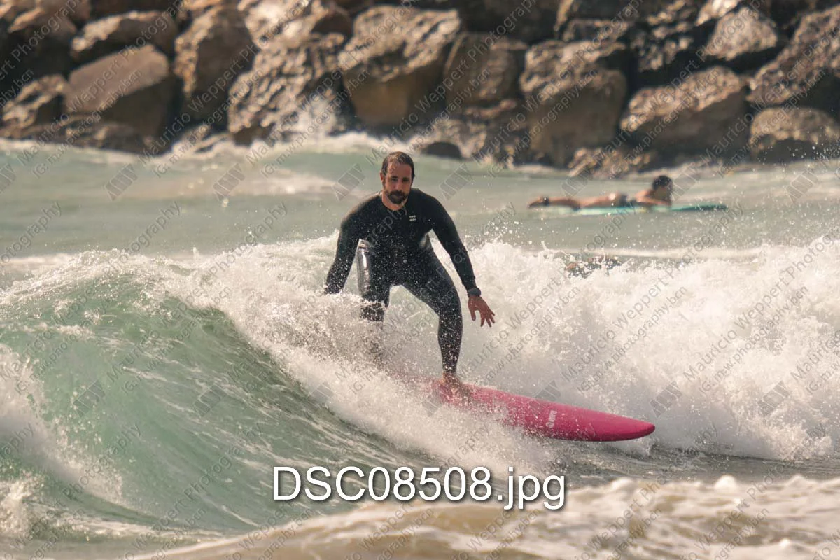 DSC08508.jpg