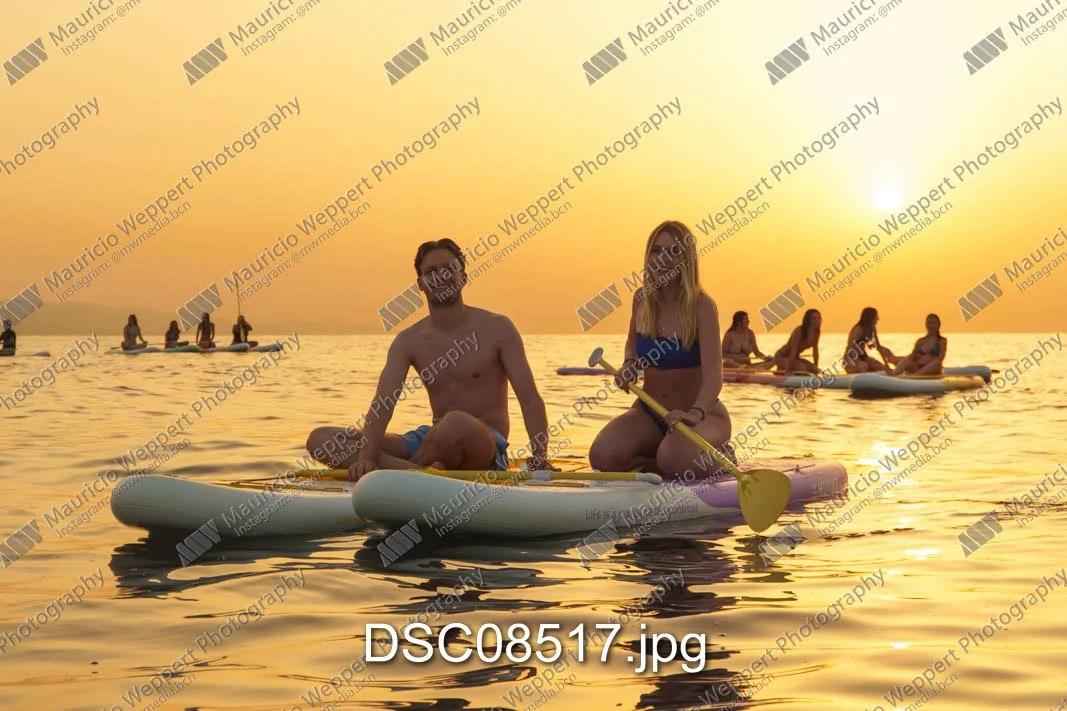 DSC08517.jpg