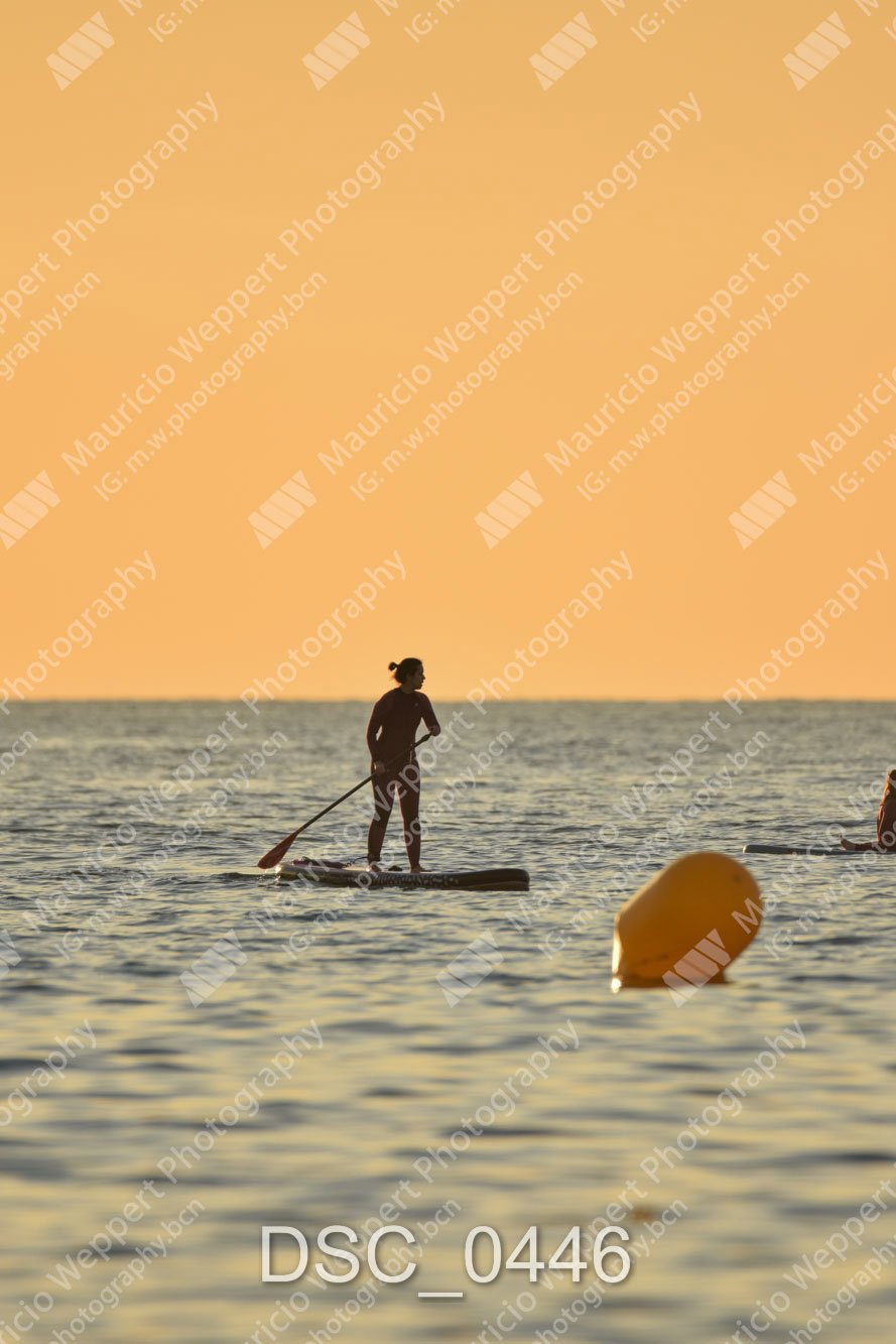 DSC_0446.jpg