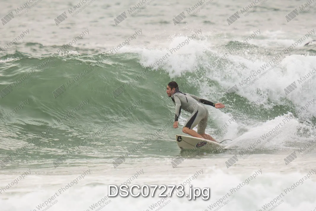 DSC07273.jpg