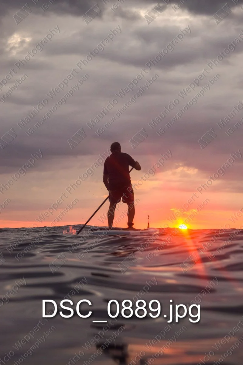 DSC_0889.jpg