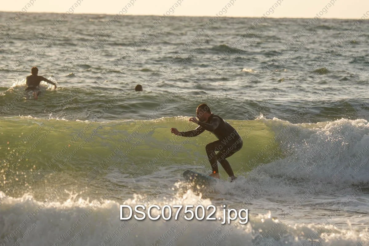 DSC07502.jpg
