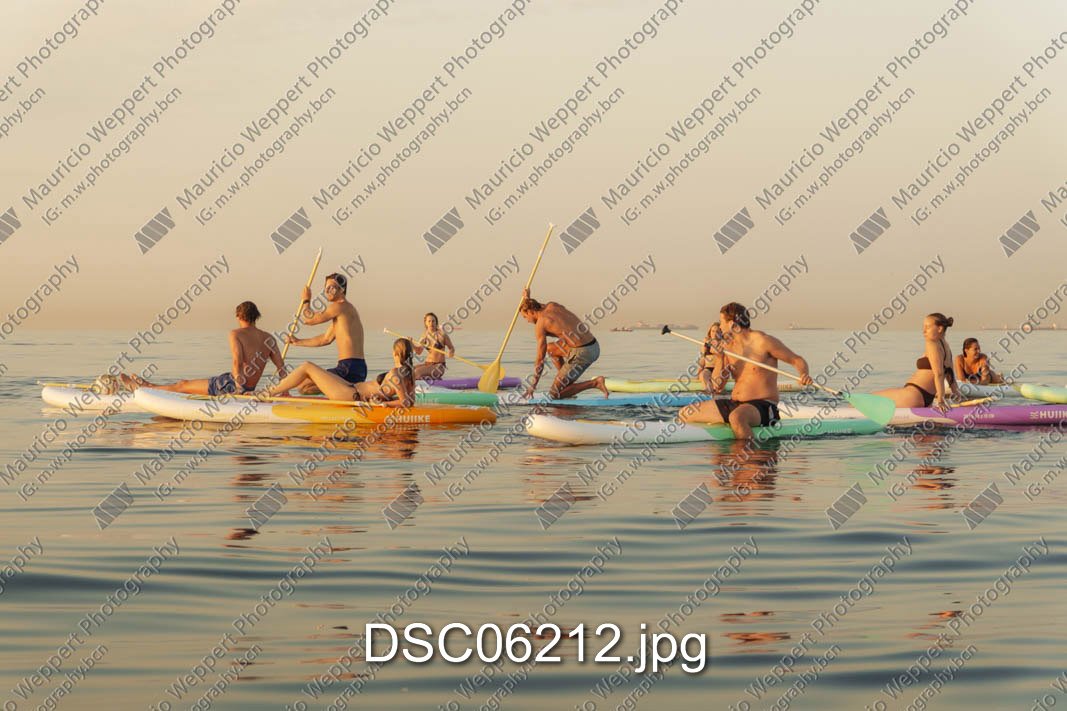 DSC06212.jpg