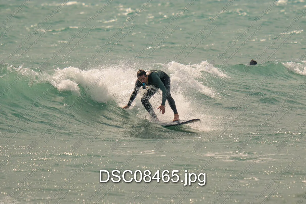 DSC08465.jpg