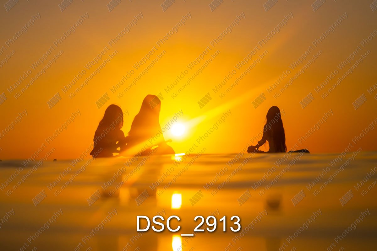 DSC_2913.jpg