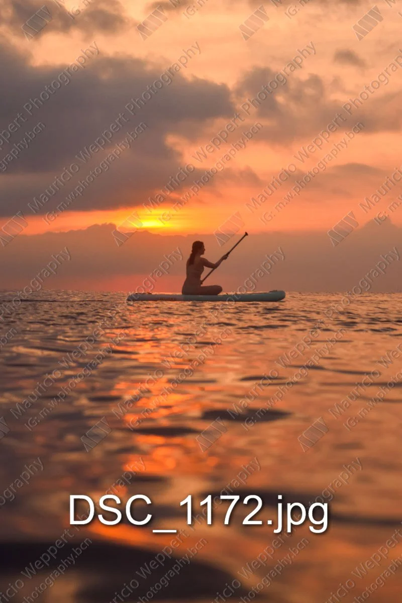 DSC_1172.jpg