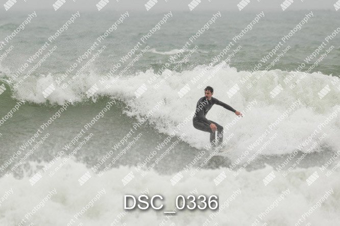 DSC_0336.jpg