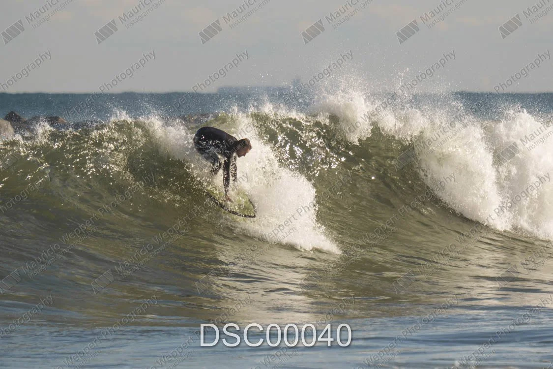 DSC00040.jpg