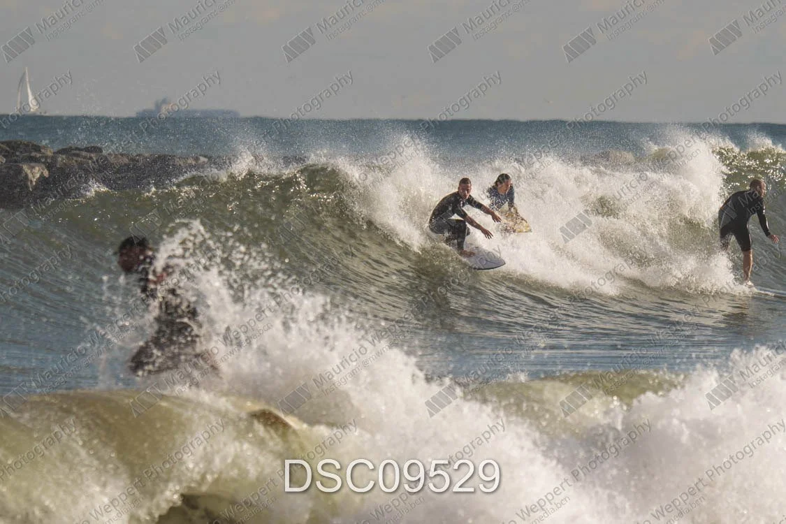 DSC09529.jpg