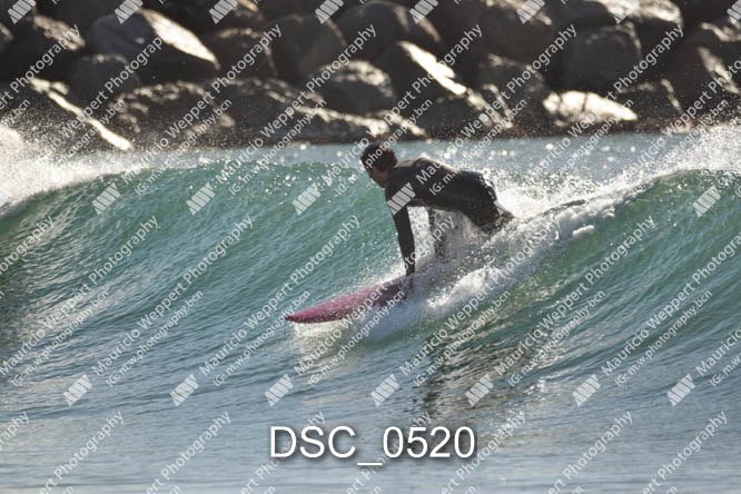 DSC_0520.jpg