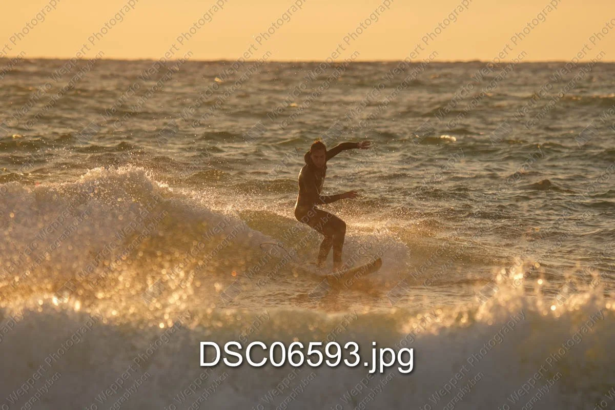 DSC06593.jpg