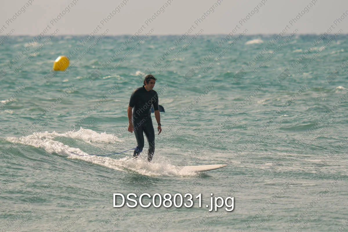 DSC08031.jpg