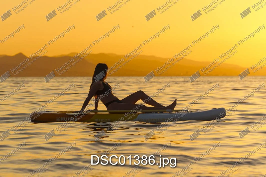 DSC01386.jpg
