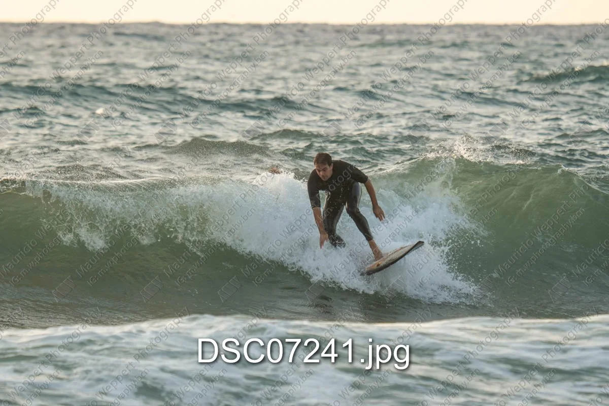 DSC07241.jpg