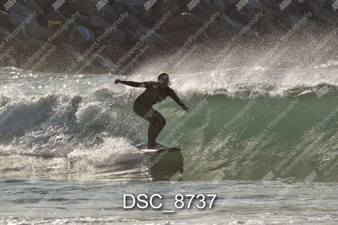 DSC_8737.jpg