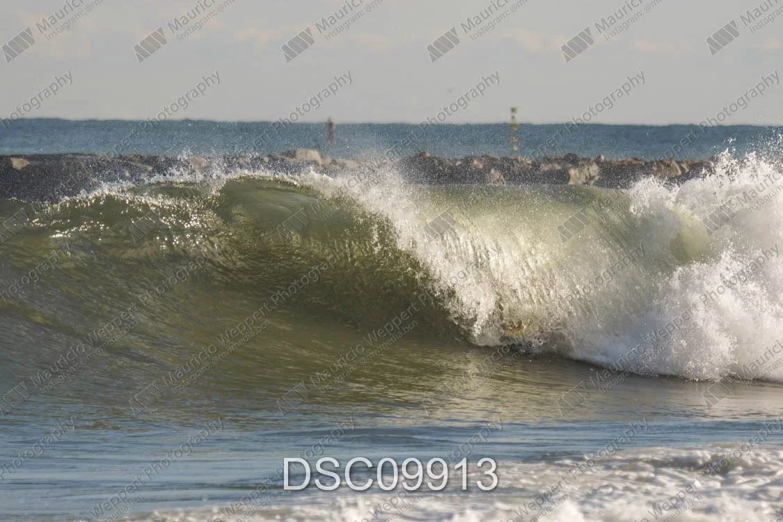 DSC09913.jpg