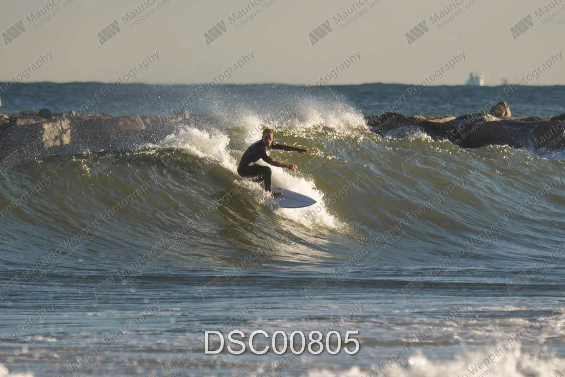 DSC00805.jpg