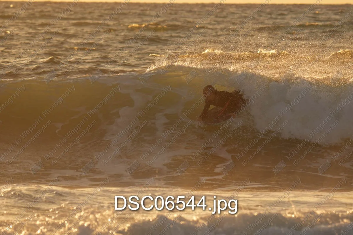 DSC06544.jpg