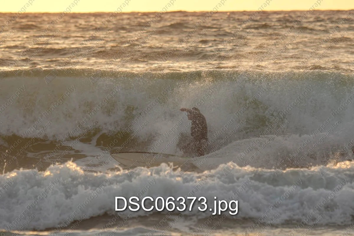 DSC06373.jpg