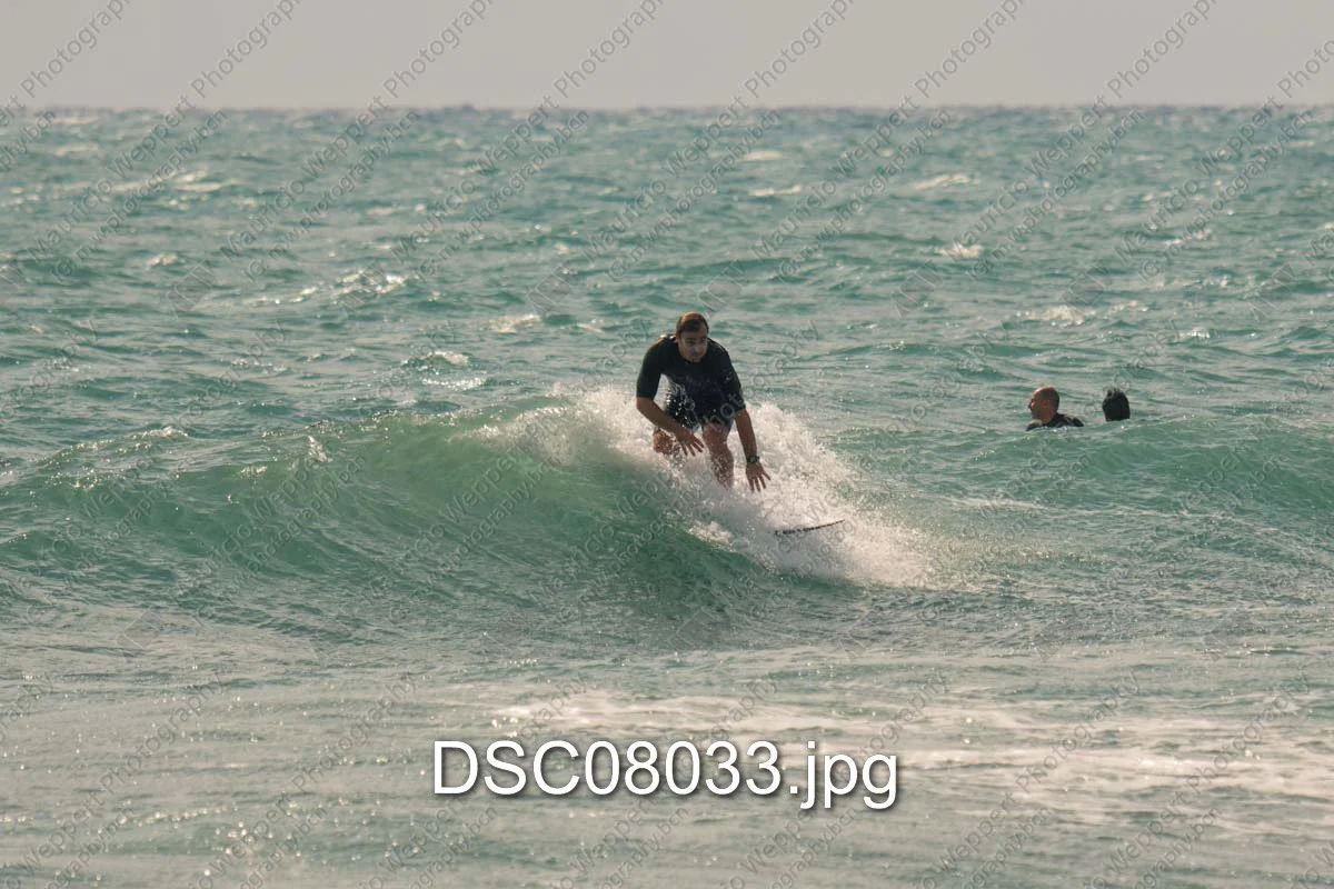DSC08033.jpg